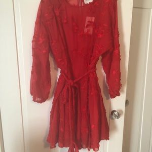 Anthropologie Embroidered Party Dress